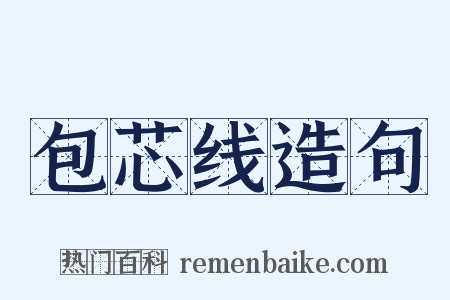 包芯线造句是什么意思的图片